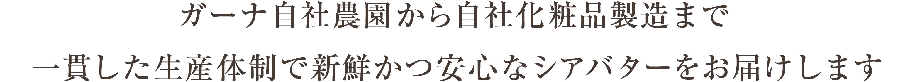 ガーナ自社農園から自社化粧品製造まで、一貫した生産体制で新鮮かつ安心なシアバターをお届けします