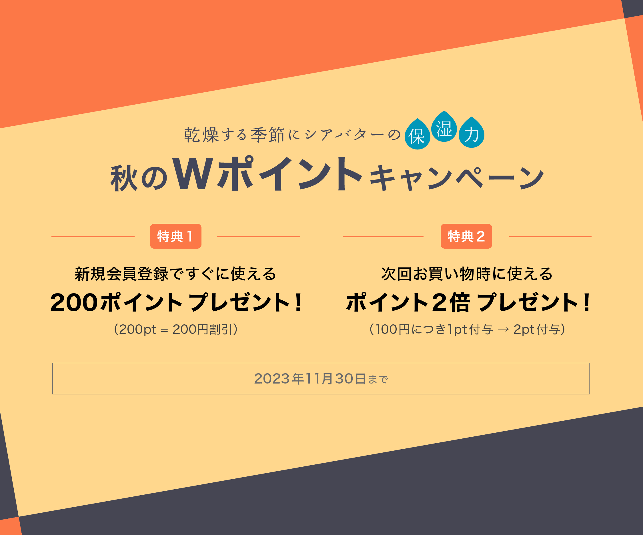 乾燥する季節にシアバターの保湿力。秋のWポイントキャンペーン